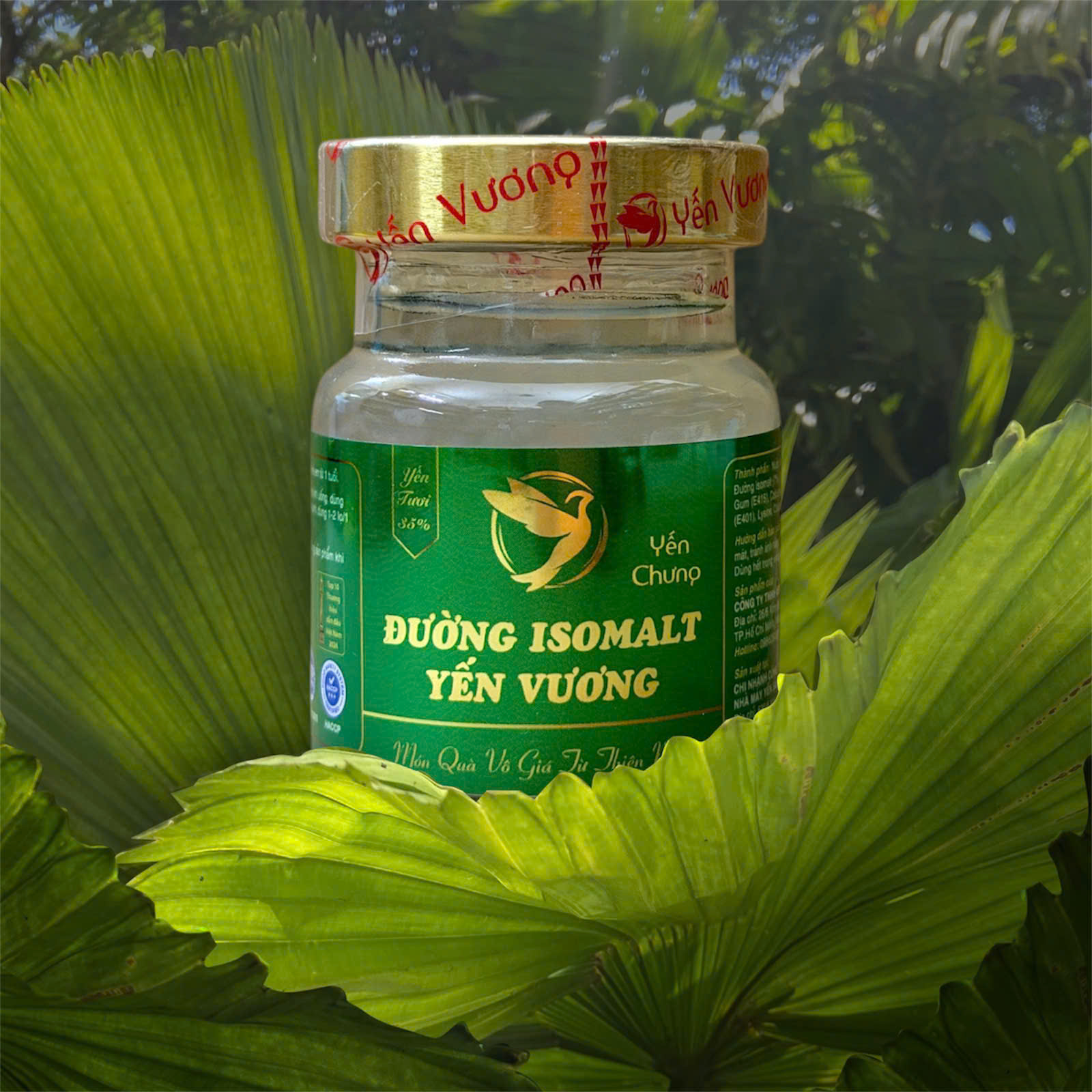 Hũ yến Vương 70ml Đường Isomal